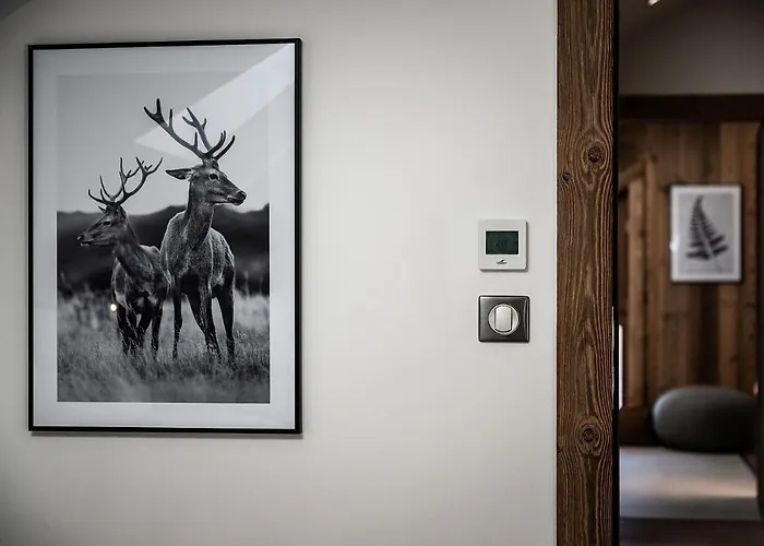 Lägenhet Le Globe Argentiere - By Emerald Chamonix